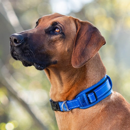 Rogz Dog Collar Classic Padded Black [:xxl]
