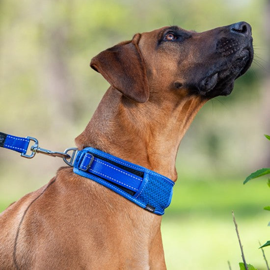 Rogz Dog Collar Classic Padded Black [:xxl]