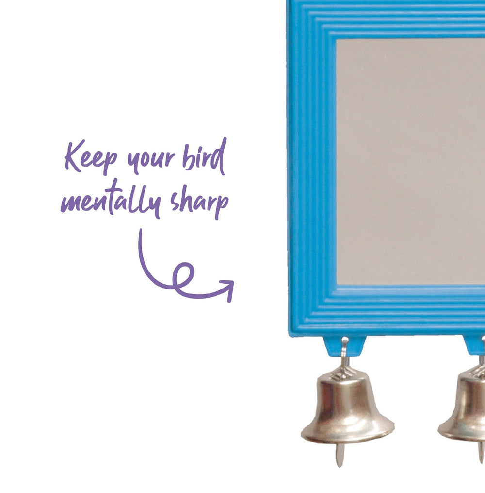 Bird Mirror Rectangular With Bell  