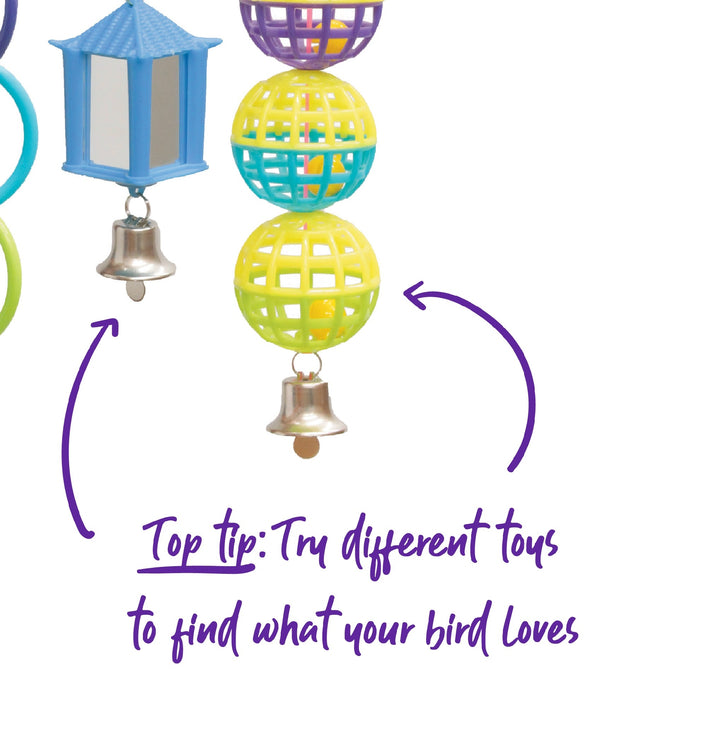 Bird Mirror Ball And Ring Set 