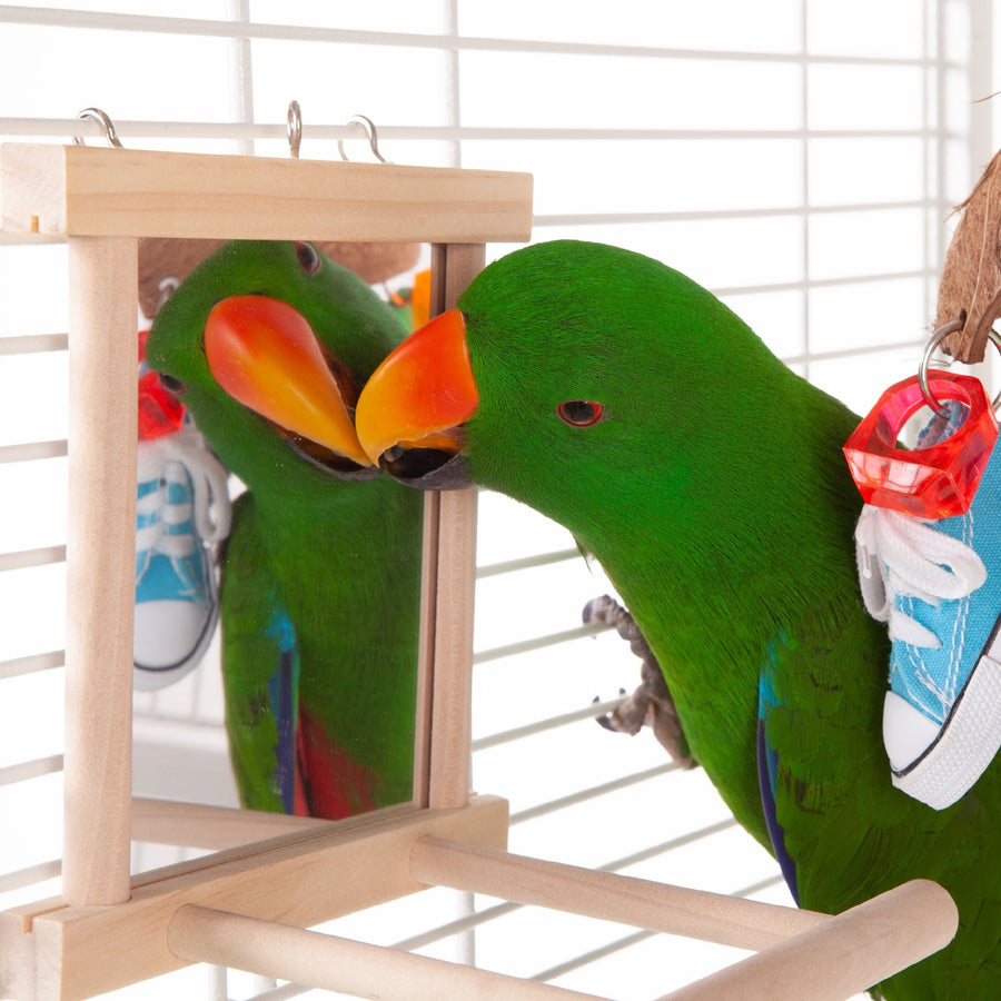 Bird Mirror With Perch Wooden [:medium]