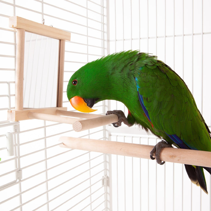 Bird Mirror With Perch Wooden [:medium]
