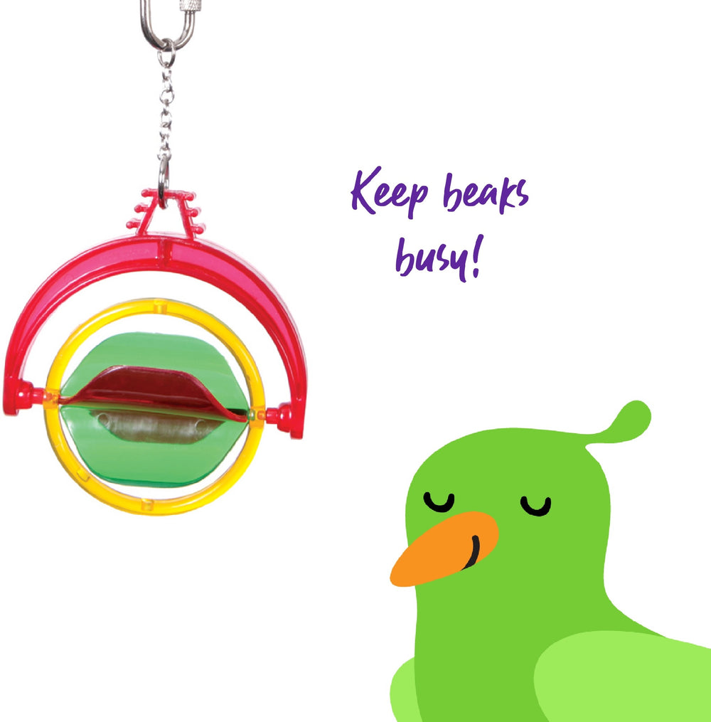 Bird Toy Play Assorted Deco