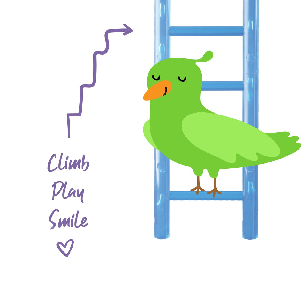 Bird Ladder 6 Step Deco 