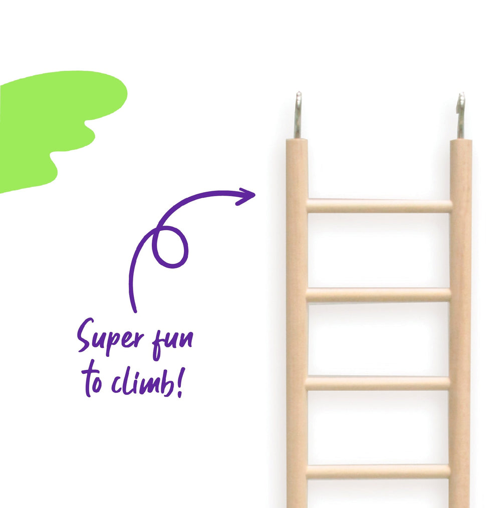Bird Ladder 5 Step Wooden [:large]