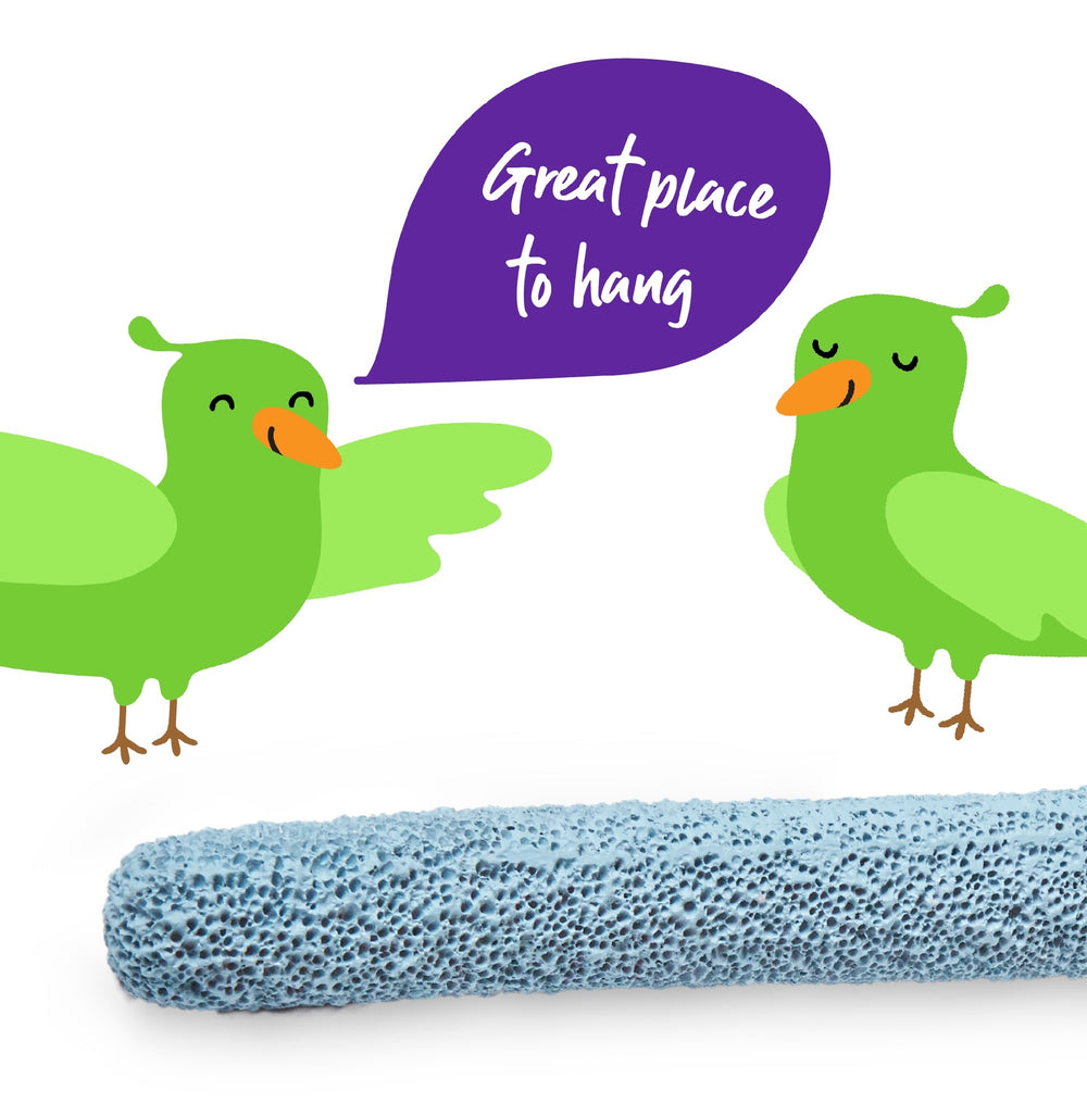 Bird Perch Pumice [:extra Large]