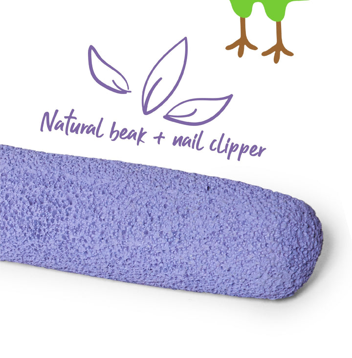 Bird Perch Pumice [:extra Large]