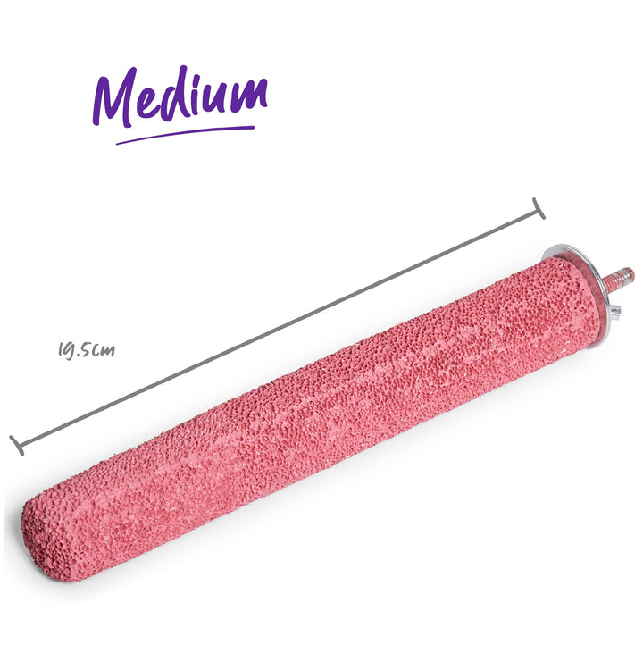 Bird Perch Pumice [:extra Large]