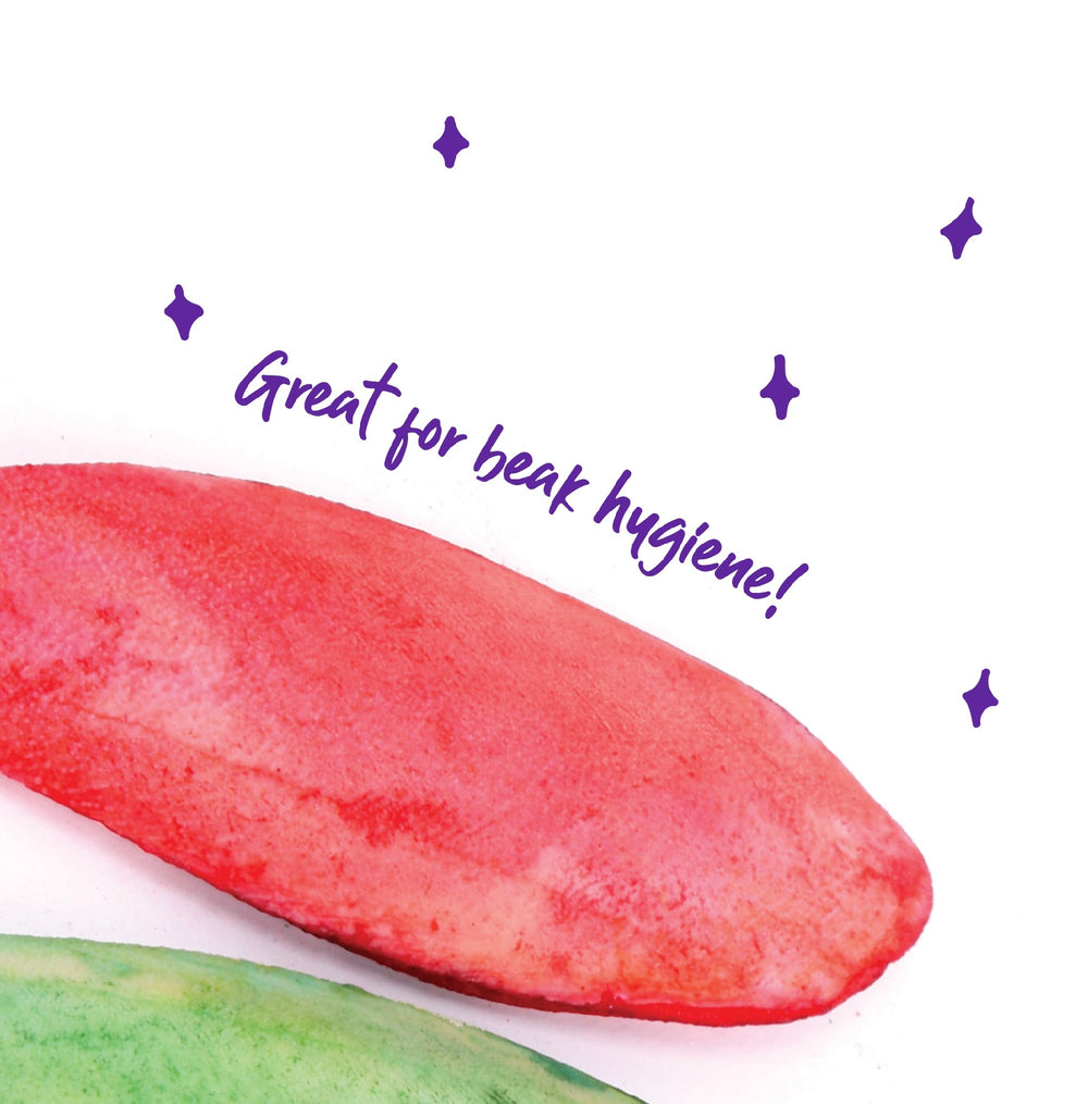 Bird Cuttlebone Flavoured 2 Pack Medium  