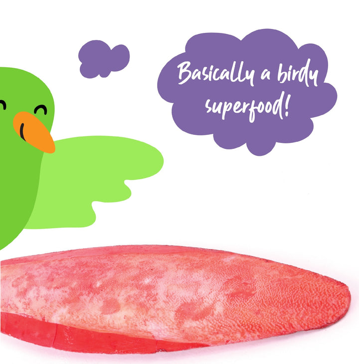 Bird Cuttlebone Flavoured 1 Pack Large  