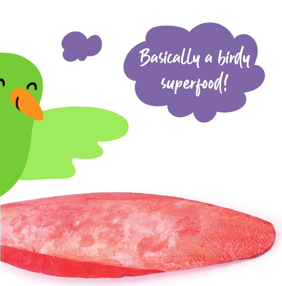 Bird Cuttlebone Flavoured 1 Pack Large  