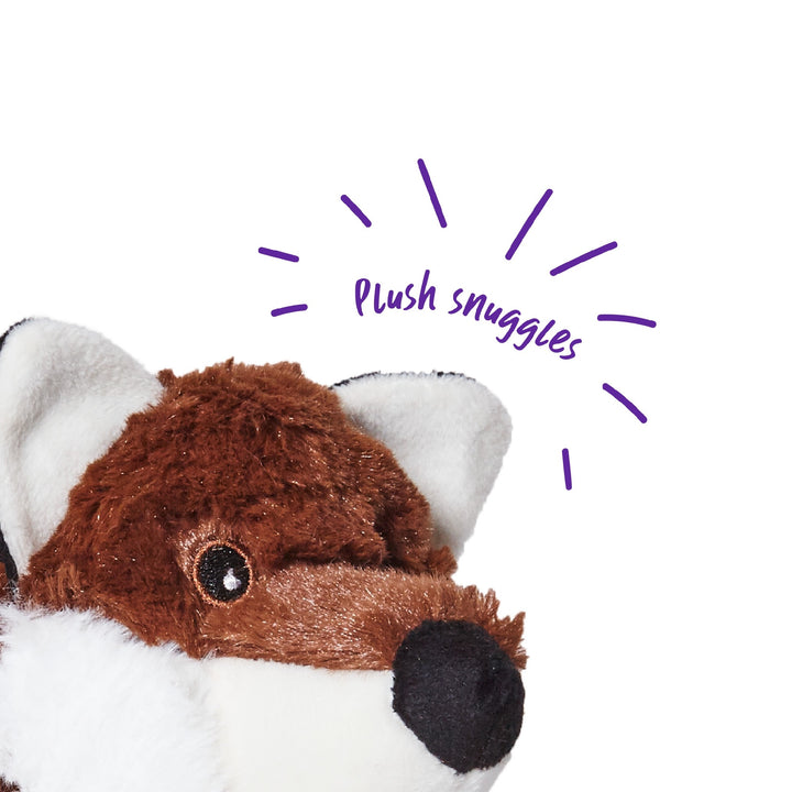 Kazoo Dog Toy Tough Raccoon [:medium]