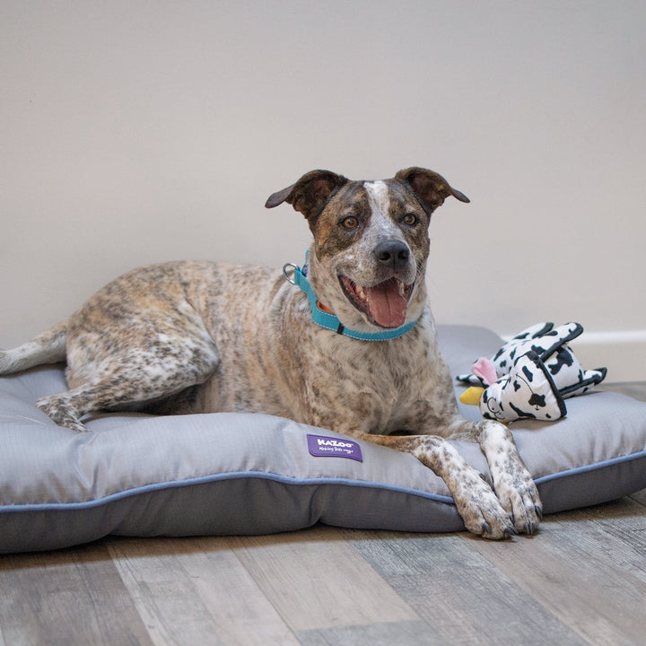Kazoo Dog Toy Tough Cow [:medium]