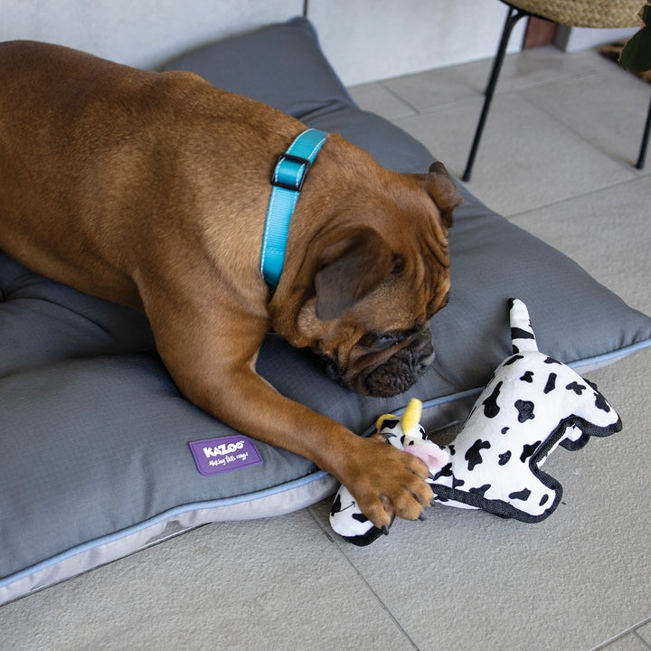 Kazoo Dog Toy Tough Cow [:medium]