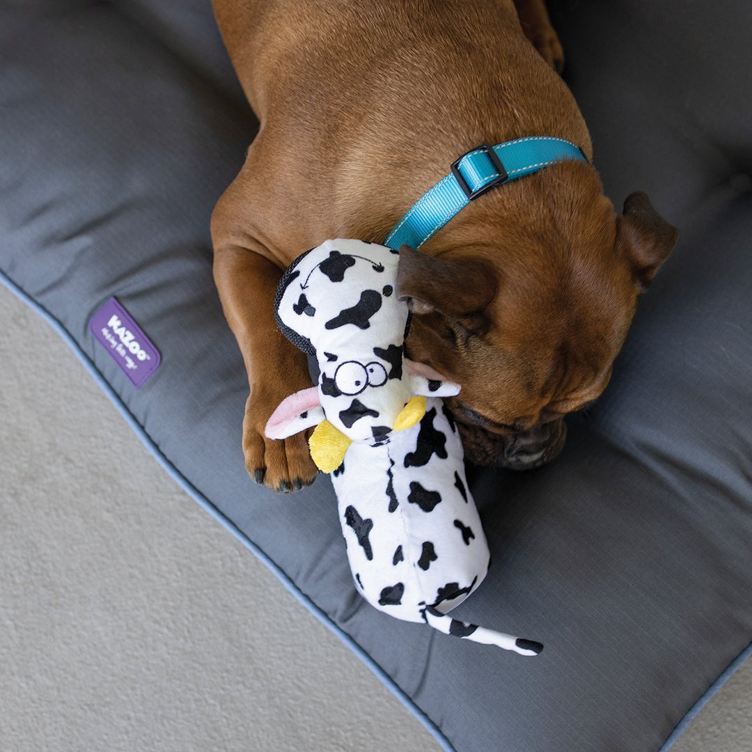 Kazoo Dog Toy Tough Cow [:medium]