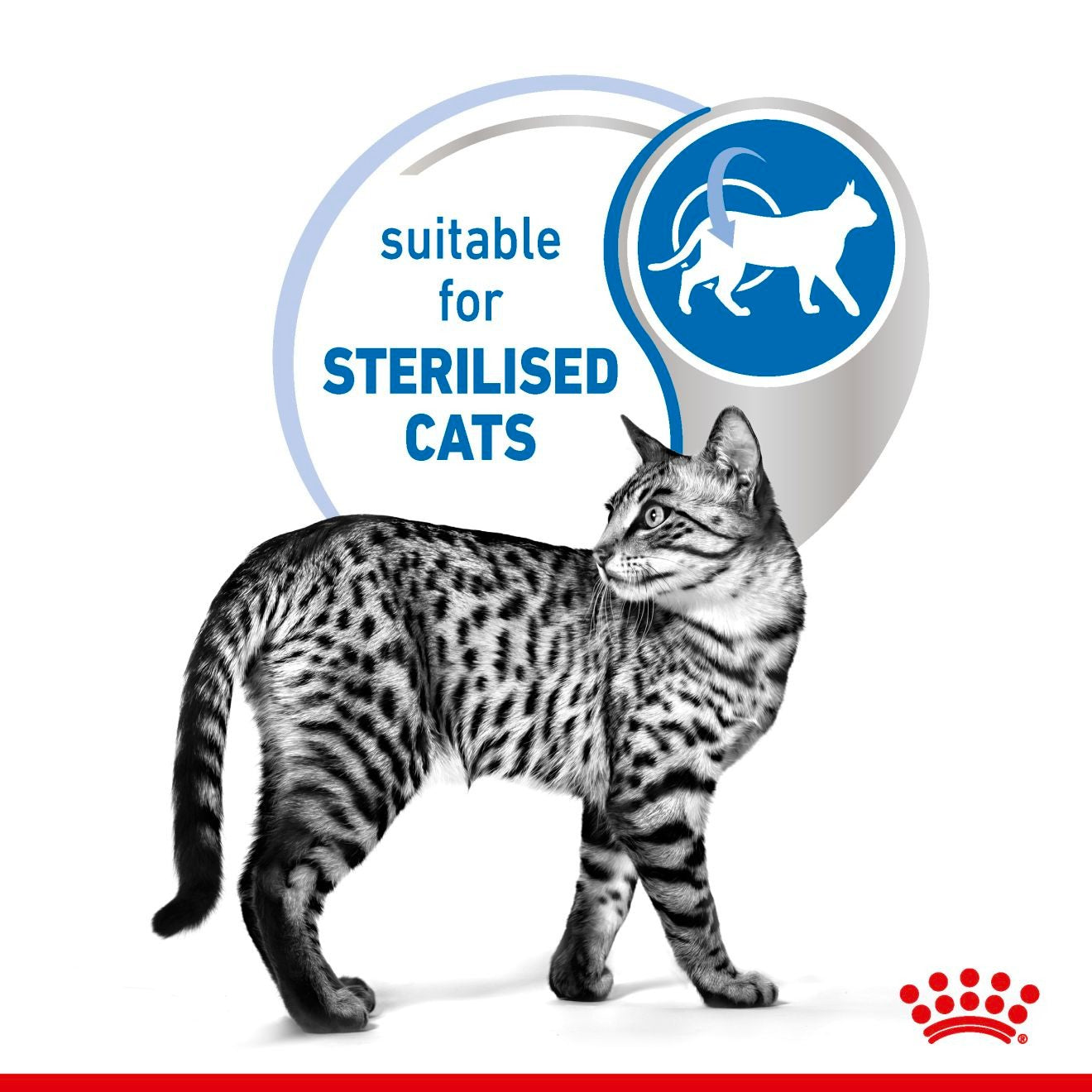 Royal Canin Cat Wet Indoor 7+ Gravy Box Of 12