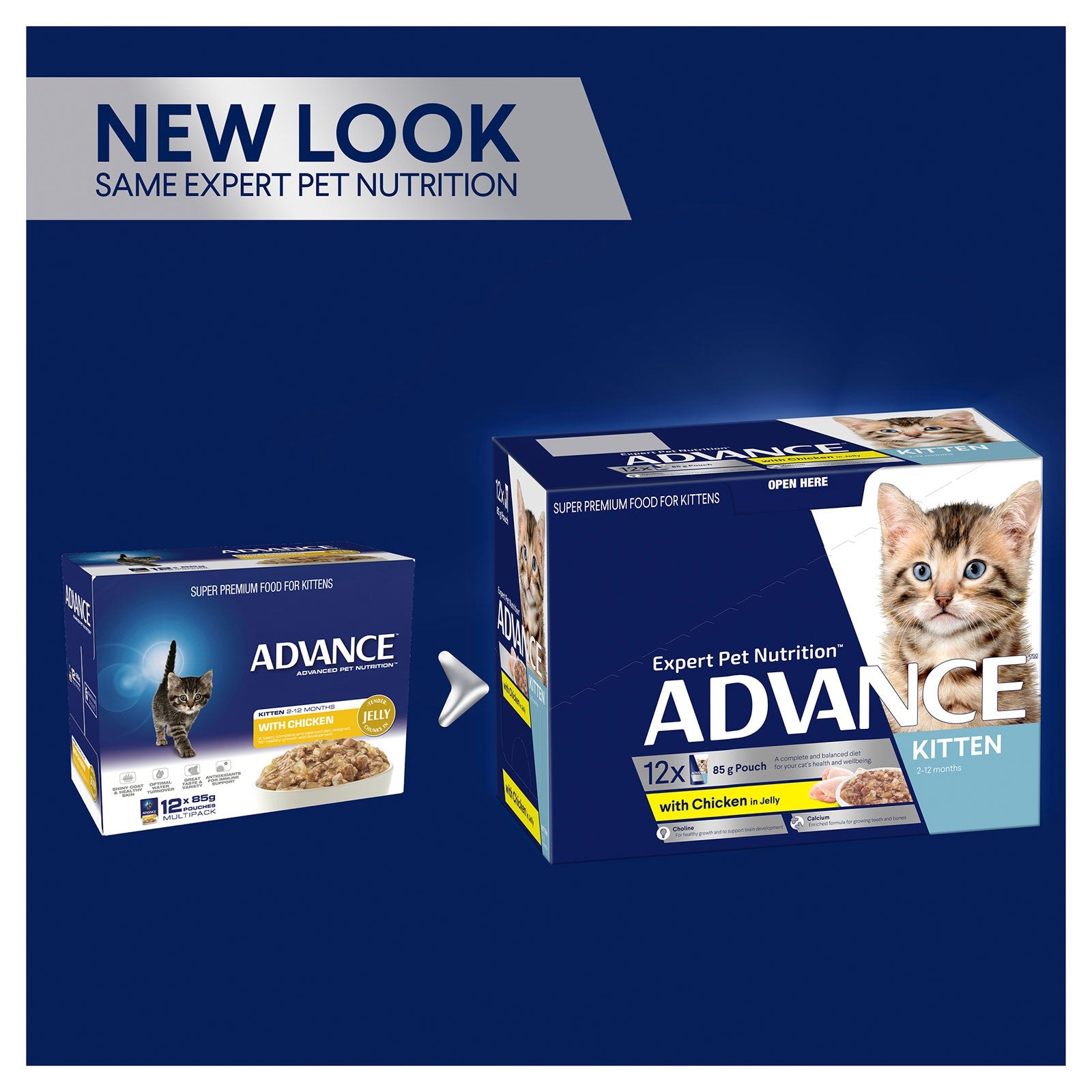 Advance Cat Wet Kitten Chicken Jelly Box Of 12