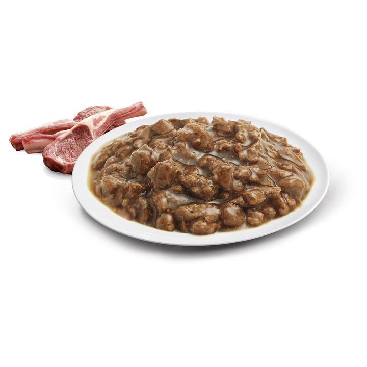 Advance Cat Wet Kitten Lamb Gravy Box Of 12
