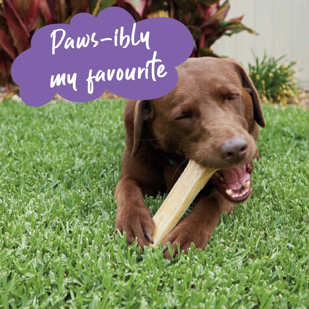 Kazoo Treat Rawhide Pressed Bone 11cm Pack Of 6