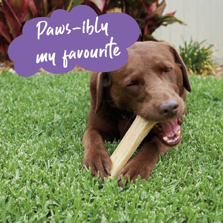 Kazoo Treat Rawhide Pressed Bone 11cm Pack Of 6