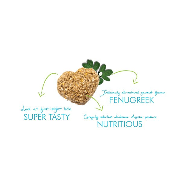 Horse Treat Hygain Smoochie 250gm
