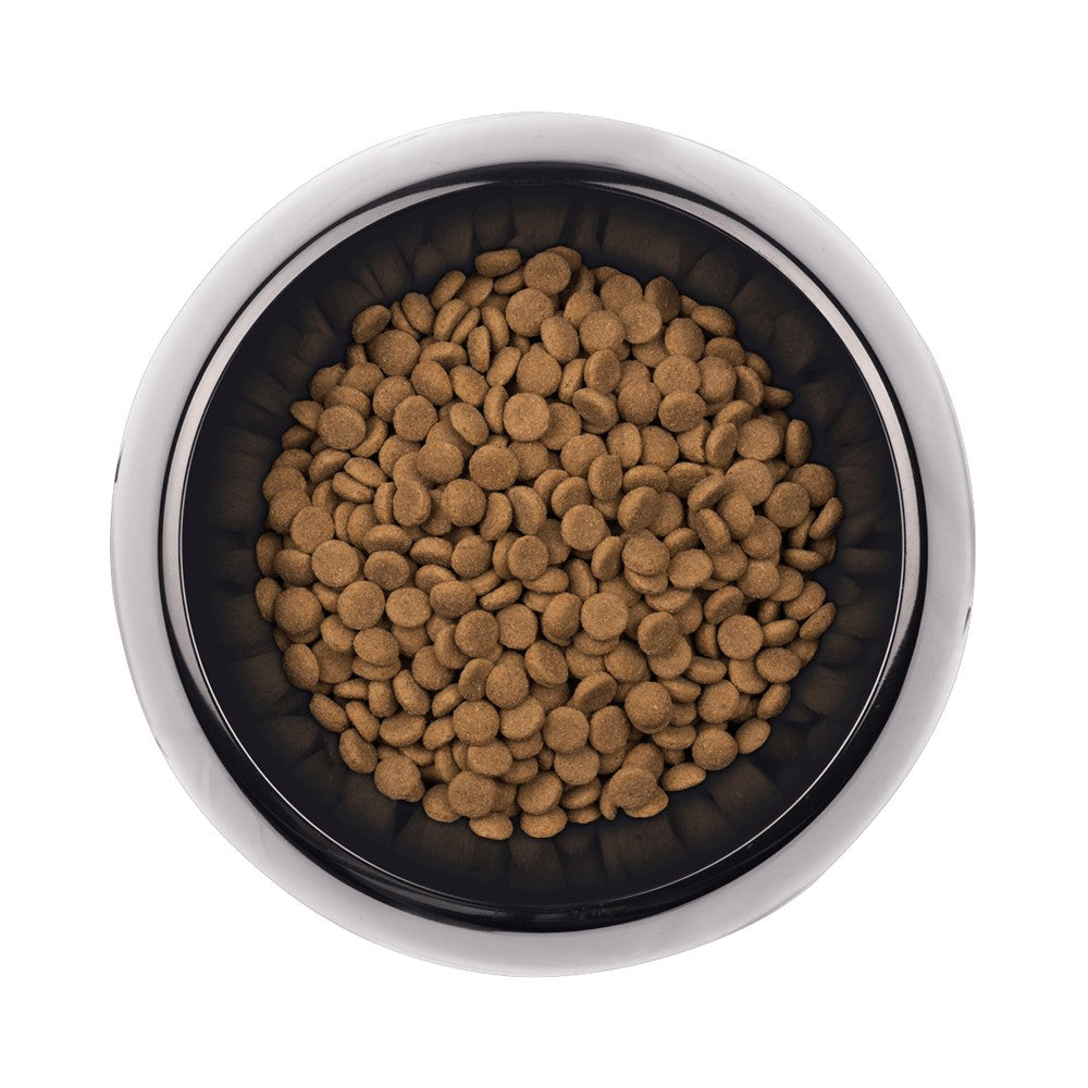 Supercoat Purina Dog Adult Senior Fish 2.6kg