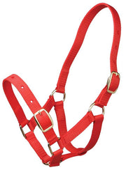 Foal Headstall Gymkhana Red