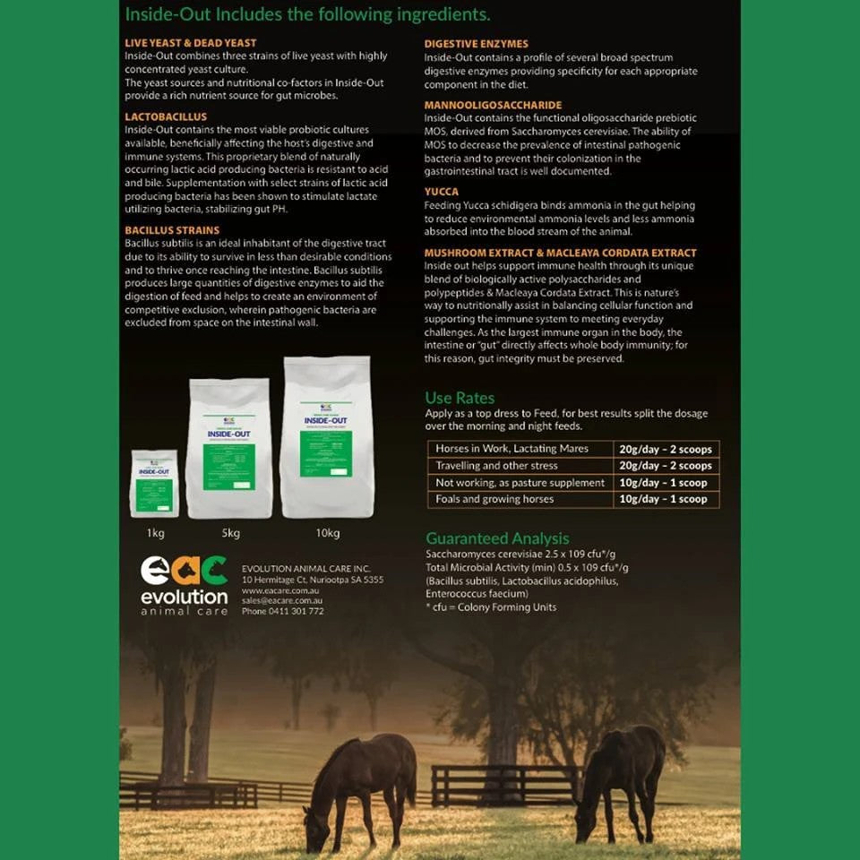 Evolution In Sideout Horse 1kg