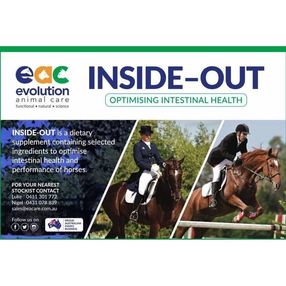 Evolution In Sideout Horse 400gm