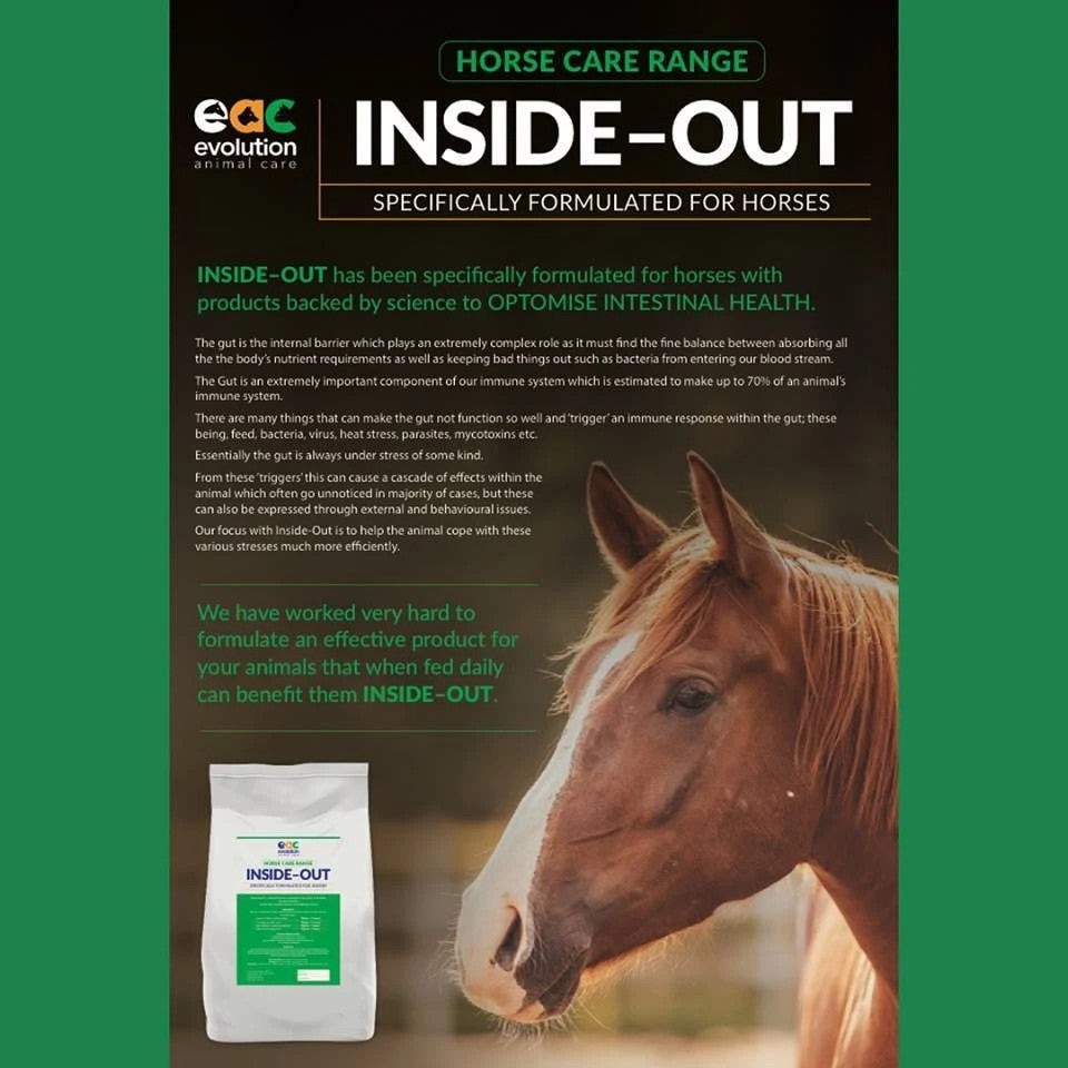 Evolution In Sideout Horse 400gm
