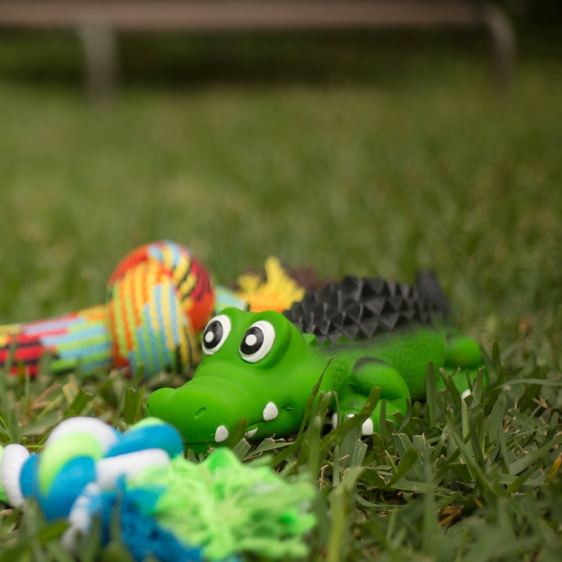 Kazoo Dog Toy Latex Crocodile [:small]