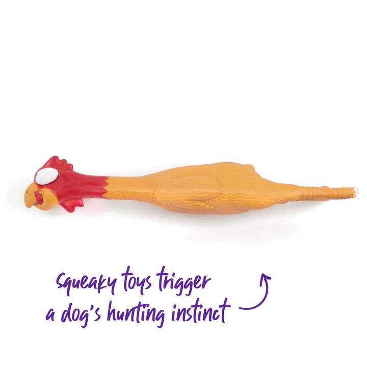 Kazoo Dog Toy Latex Chicken [:small]