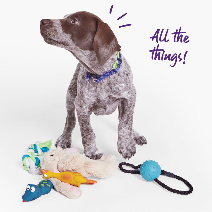 Kazoo Dog Toy Latex Duck [:small]