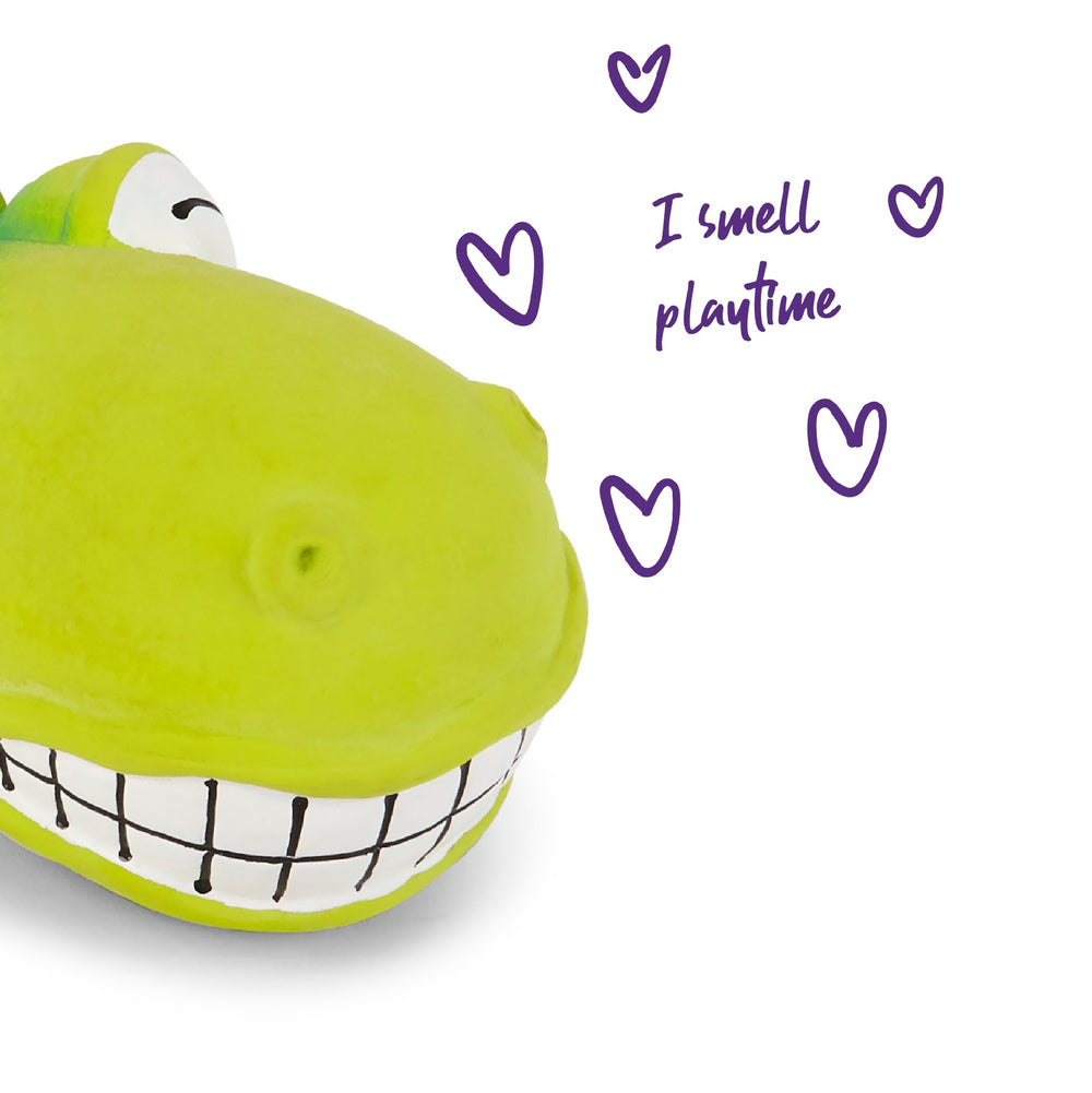 Kazoo Dog Toy Latex Smiling Crocodile Green Small
