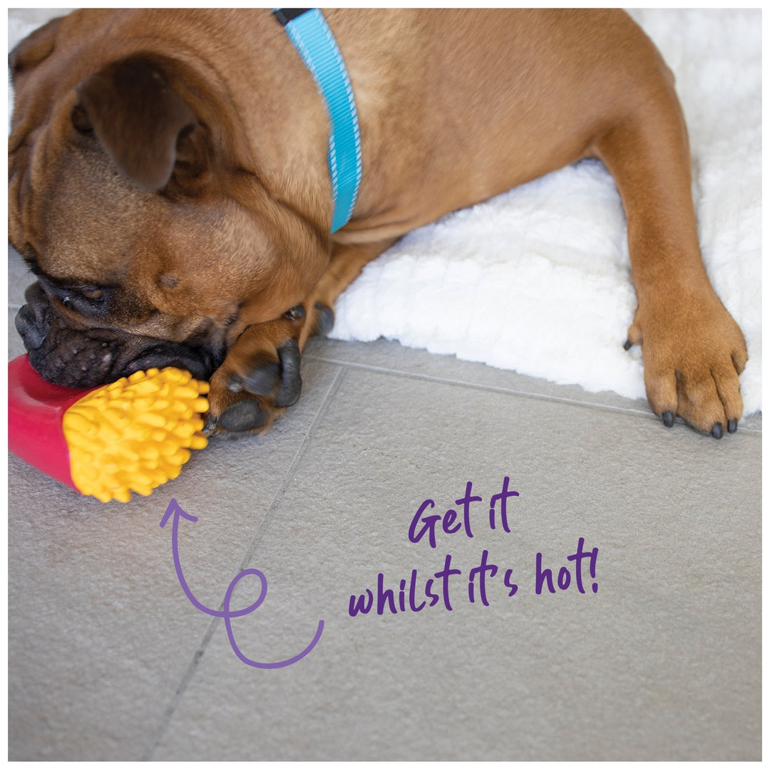 Kazoo Dog Toy Latex Fries Medium