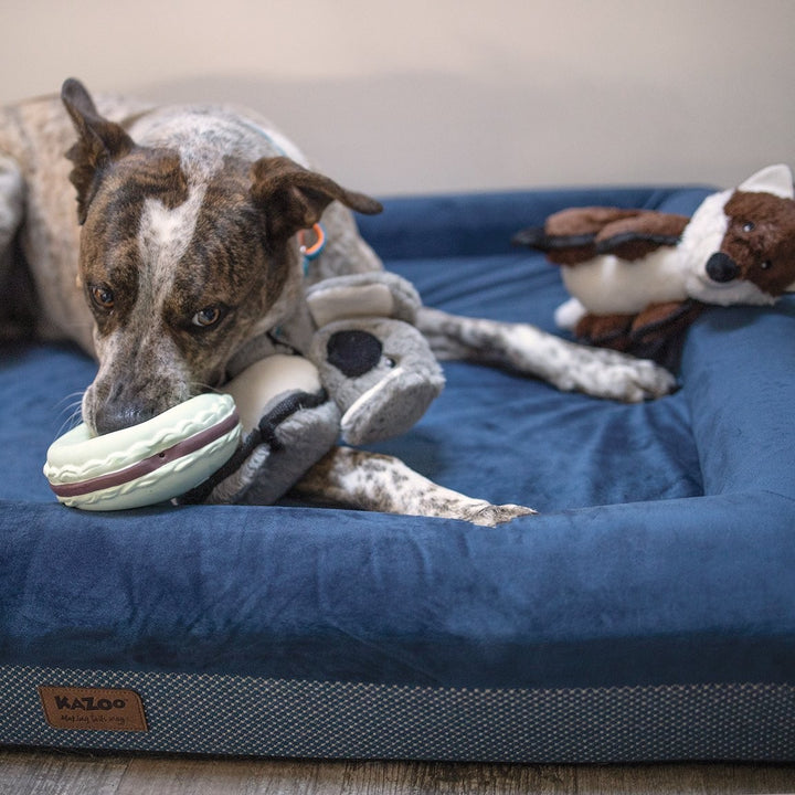 Kazoo Dog Toy Latex Macaroon Medium - Minty