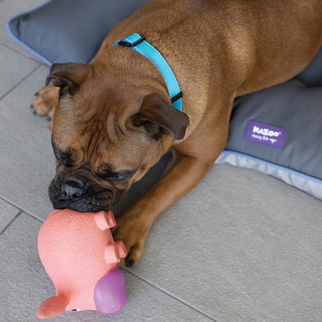 Kazoo Dog Toy Latex Donkey [:small]