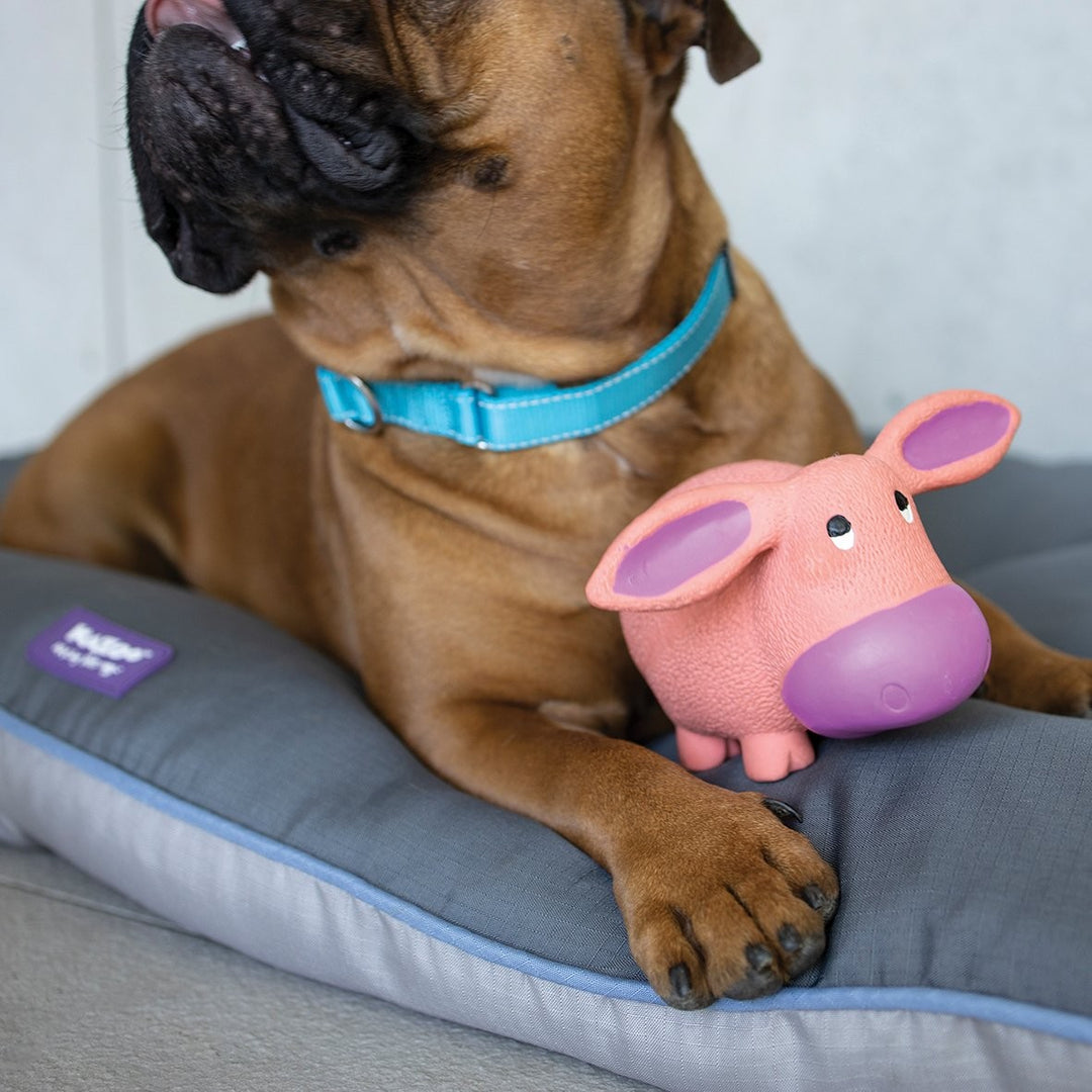 Kazoo Dog Toy Latex Donkey [:small]
