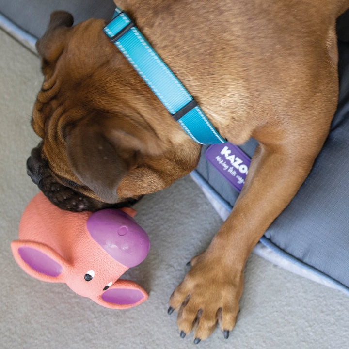 Kazoo Dog Toy Latex Donkey [:small]
