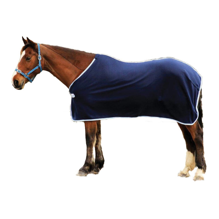 Polar Fleece Rug Blue [:4'3"]