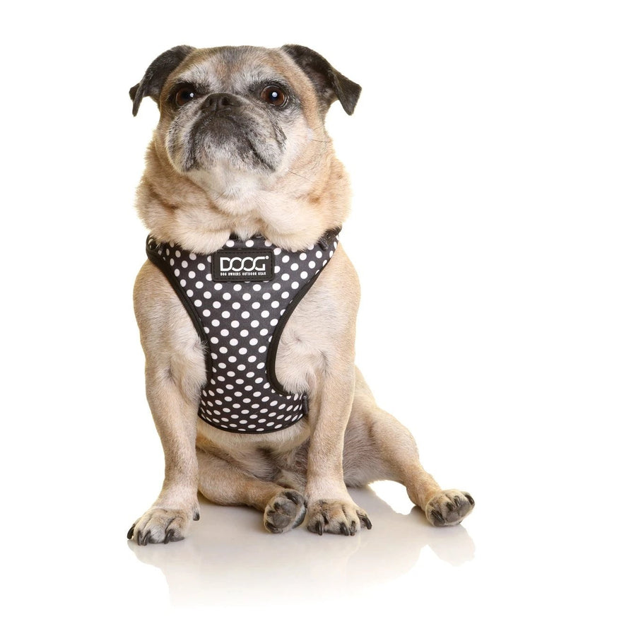 Doog Harness Neoflex Pongo [:small]
