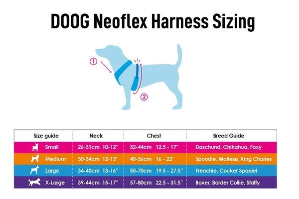 Doog Harness Neoflex Pongo [:small]