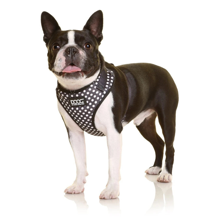 Doog Harness Neoflex Pongo [:small]