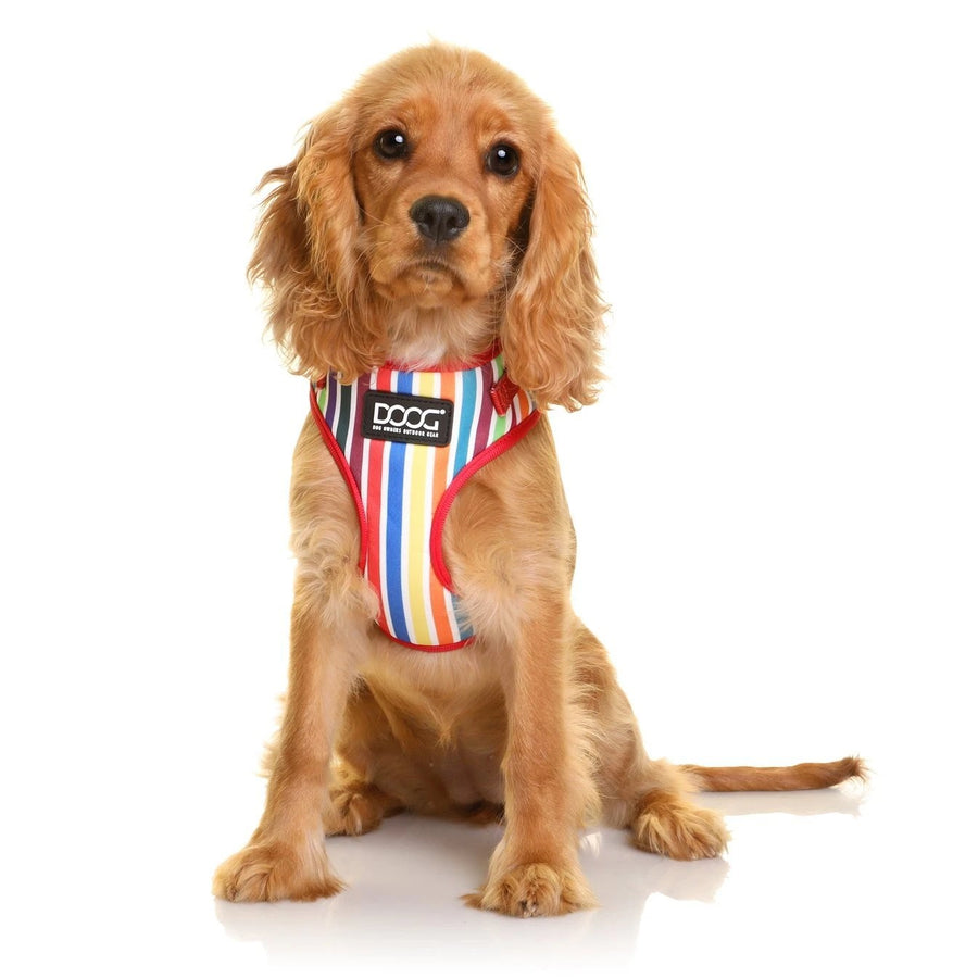 Doog Harness Neoflex Scooby [:small]