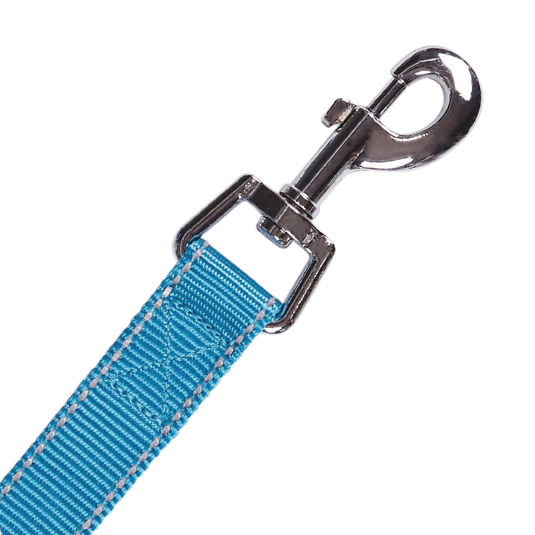 Kazoo Dog Leash Classic Aqua 1200mm [:15mm]