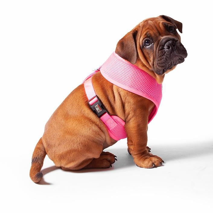 Kazoo Harness Soft Classic Pink [:xxs]