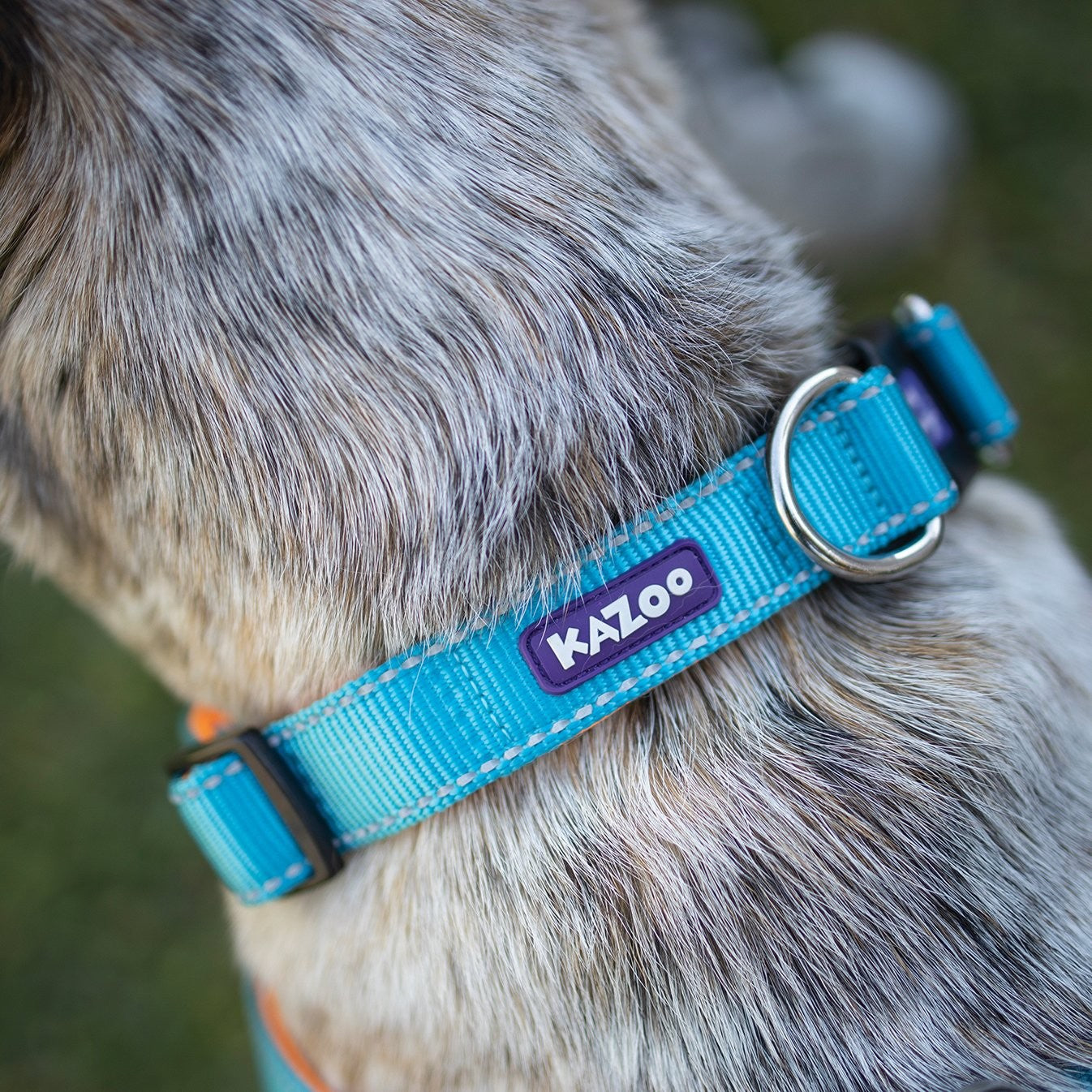 Kazoo Dog Collar Active Adjustable Ocean Sunrise [:extra Large]