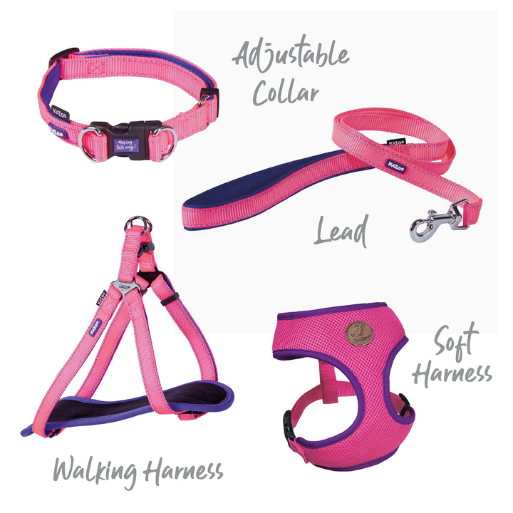 Kazoo Dog Collar Active Adjustable Bloom Burst [:extra Large]