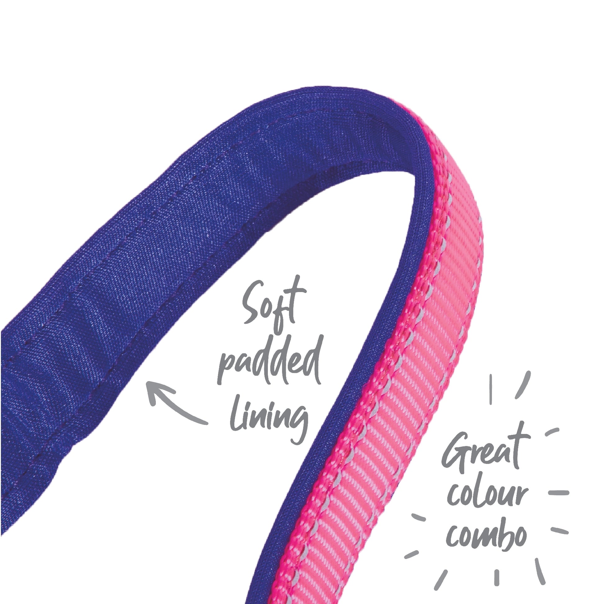 Kazoo Dog Collar Active Adjustable Bloom Burst [:extra Large]