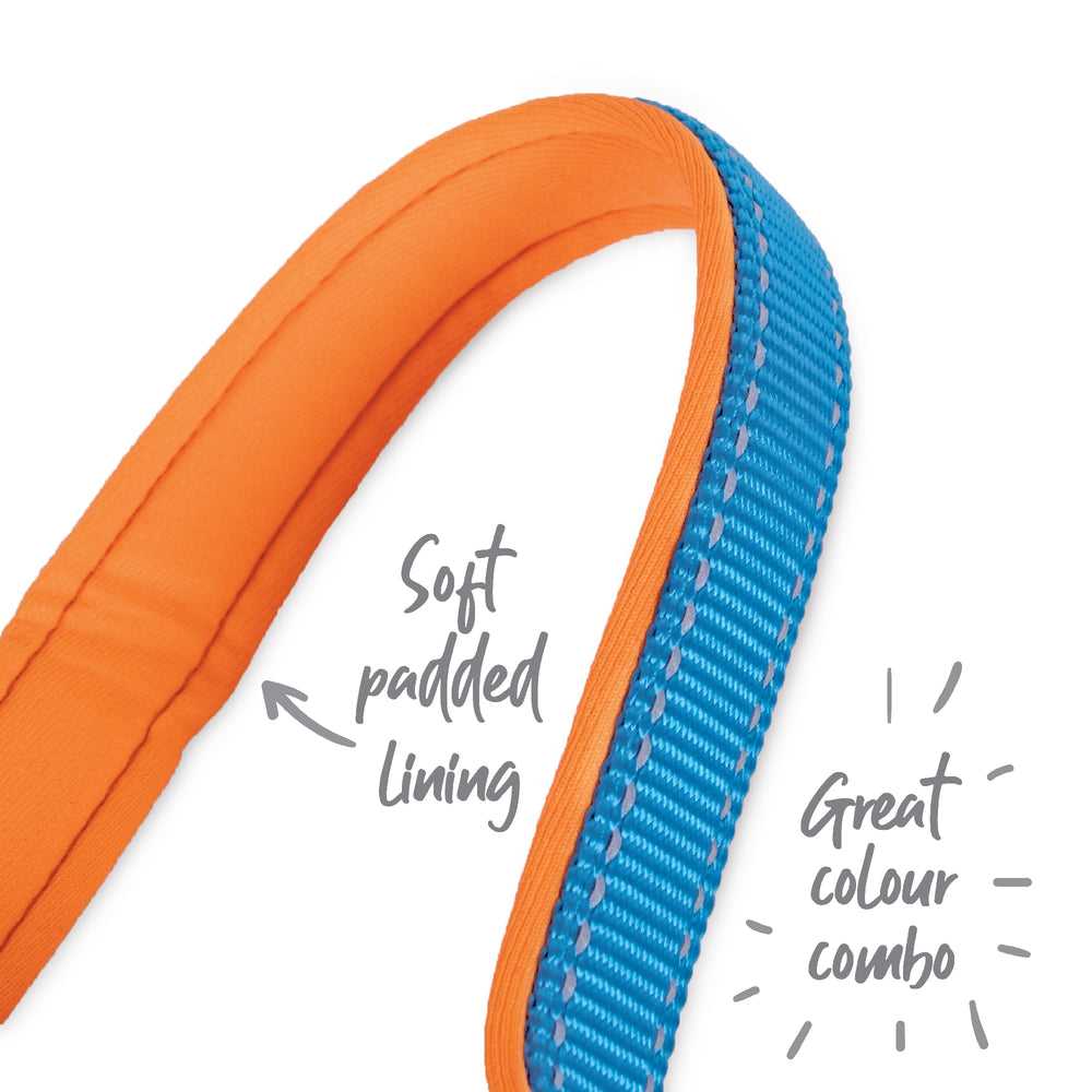 Kazoo Dog Collar Active Ocean Sunrise [:extra Large]